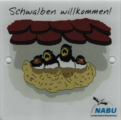 Schwalben willkommen